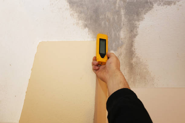 Best Airborne Mold Testing  in Lattingtown, NY