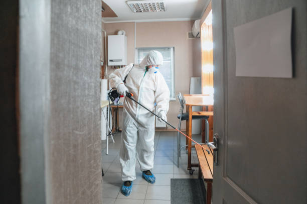 Mold Remediation for Rental Properties in Lattingtown, NY