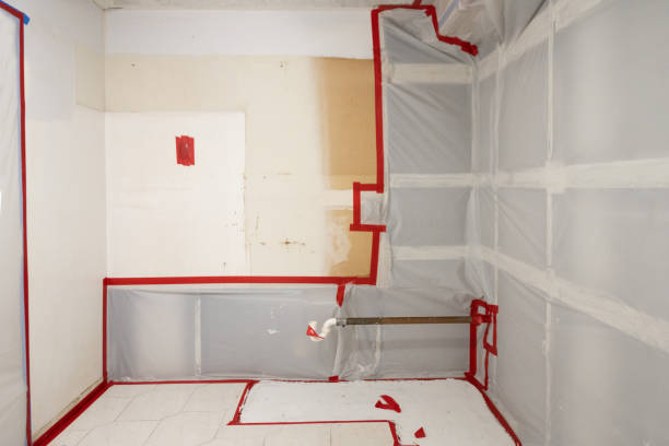 Best Mold-Related Health Consultation  in Lattingtown, NY