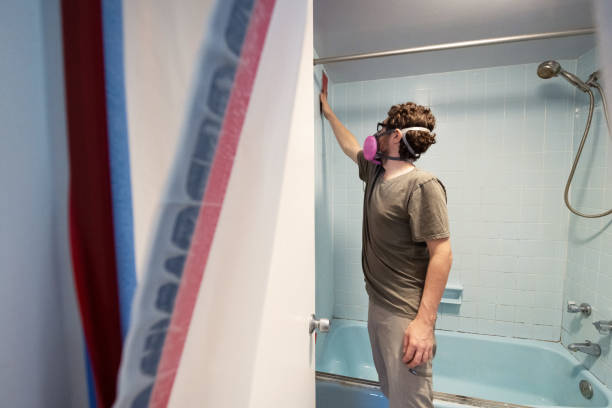 Best Mold Removal for HVAC Installations  in Lattingtown, NY