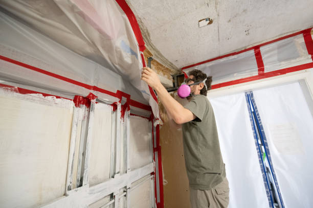 Best Industrial Mold Remediation  in Lattingtown, NY