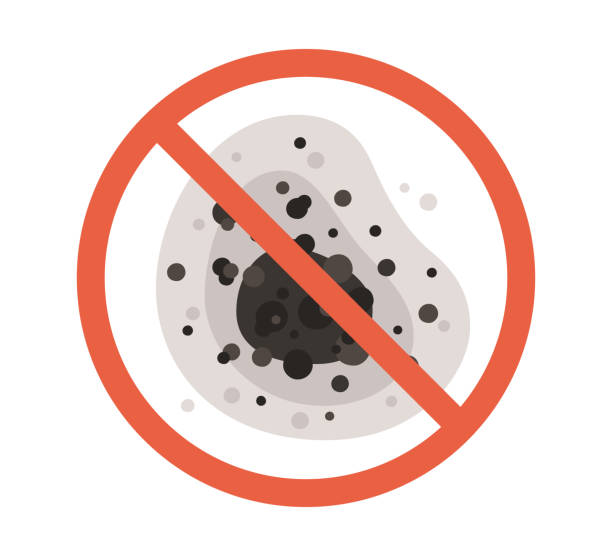 Best Emergency Mold Remediation  in Lattingtown, NY
