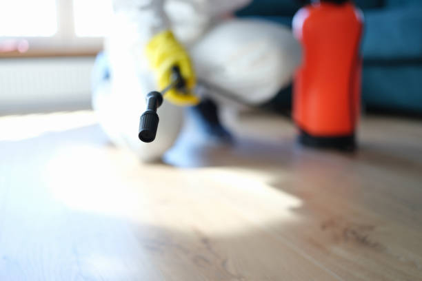 Best Dehumidification Services  in Lattingtown, NY