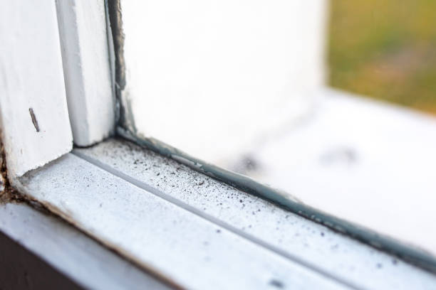 Best Post-Construction Mold Inspection  in Lattingtown, NY