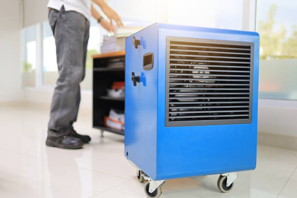 Professional Mold Removal in Lattingtown, NY