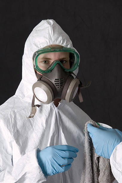 Best Black Mold Removal  in Lattingtown, NY